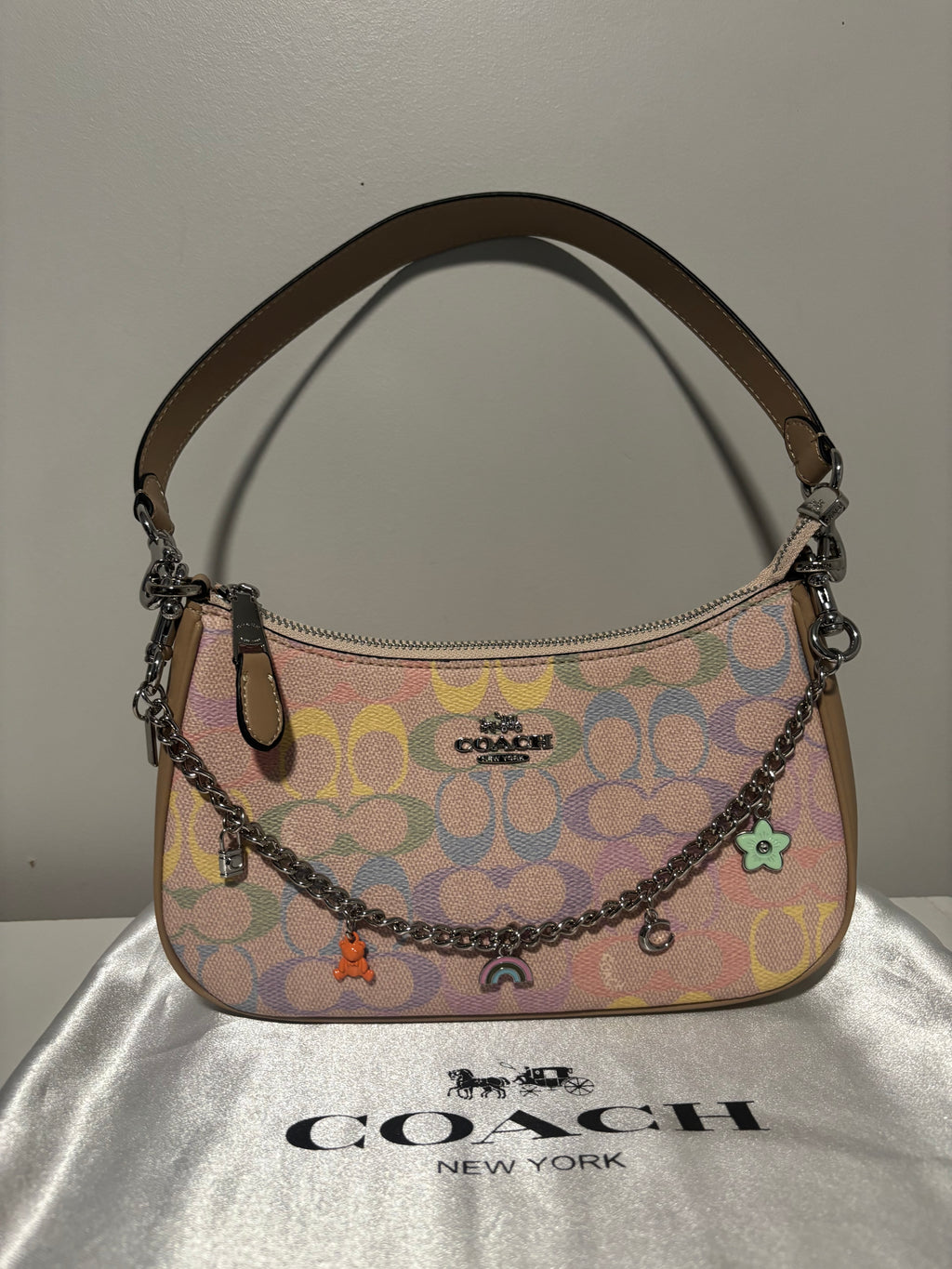 Rainbow Teri Shoulder Bag with charm
