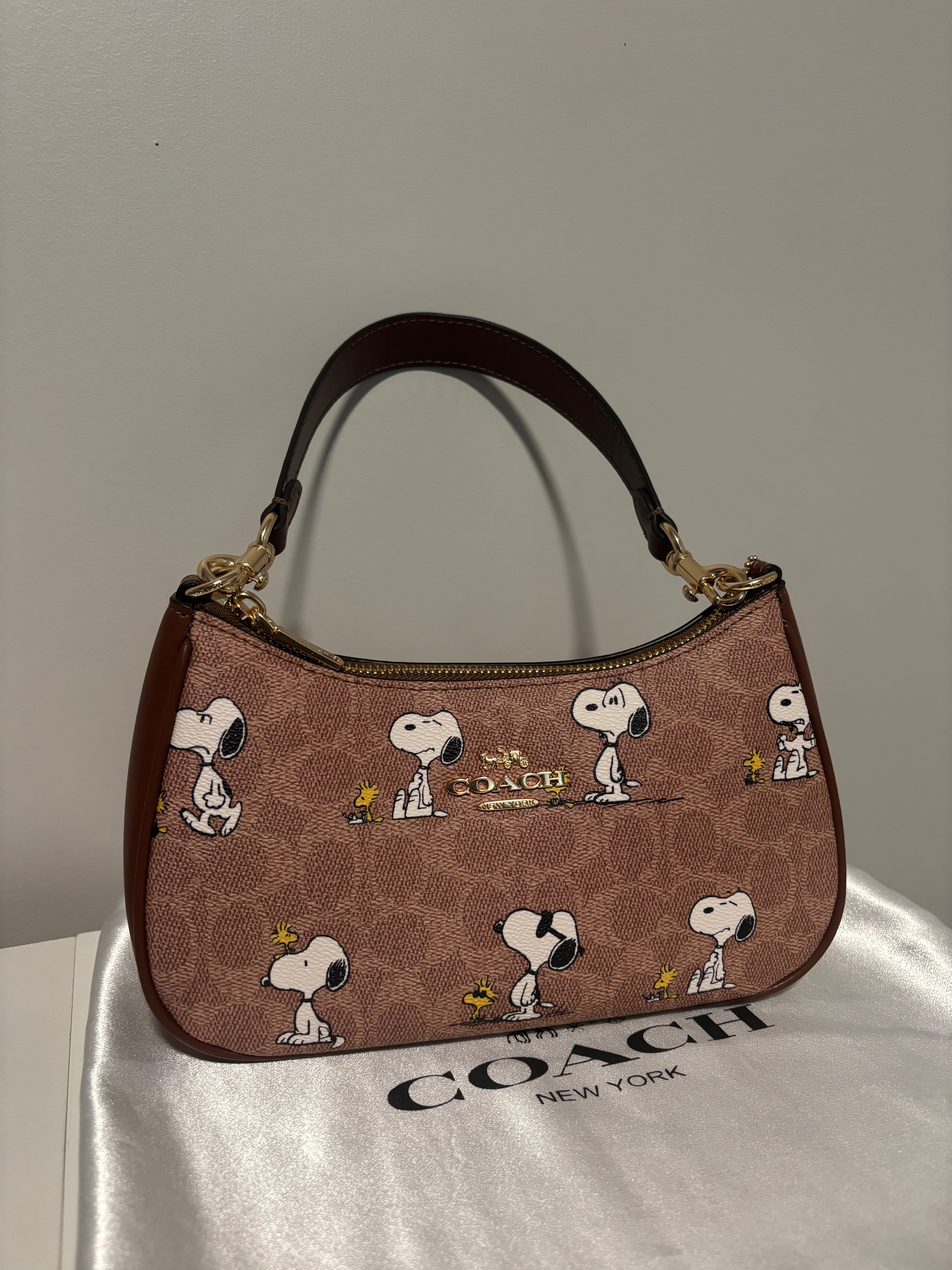 Peanut Snoopy Teri Shoulder Bag