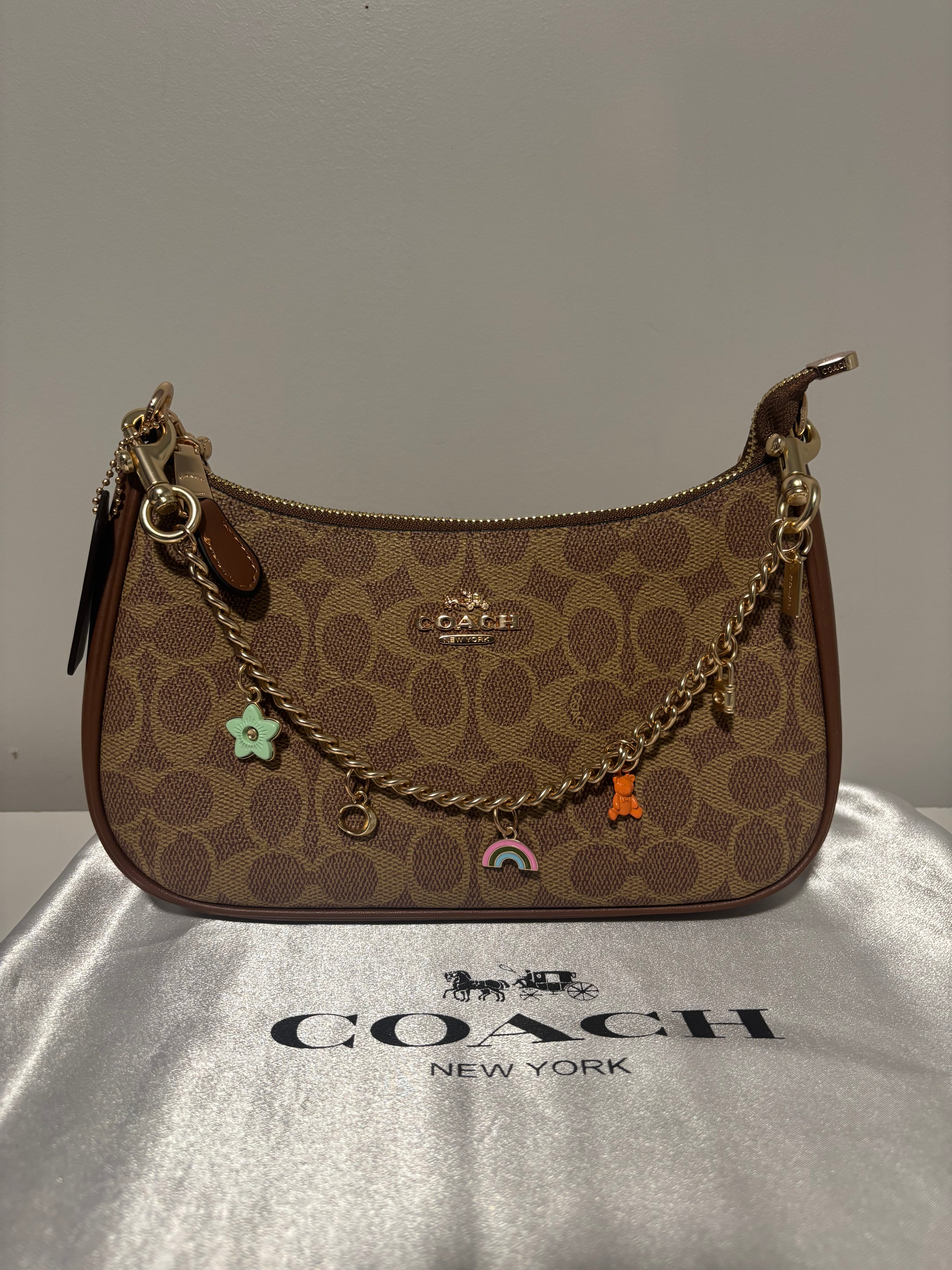 Brown Teri Shoulder Bag with Charm