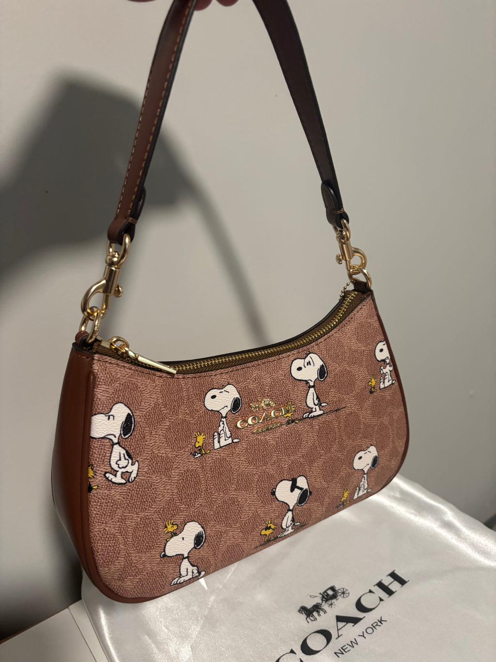 Peanut Snoopy Teri Shoulder Bag