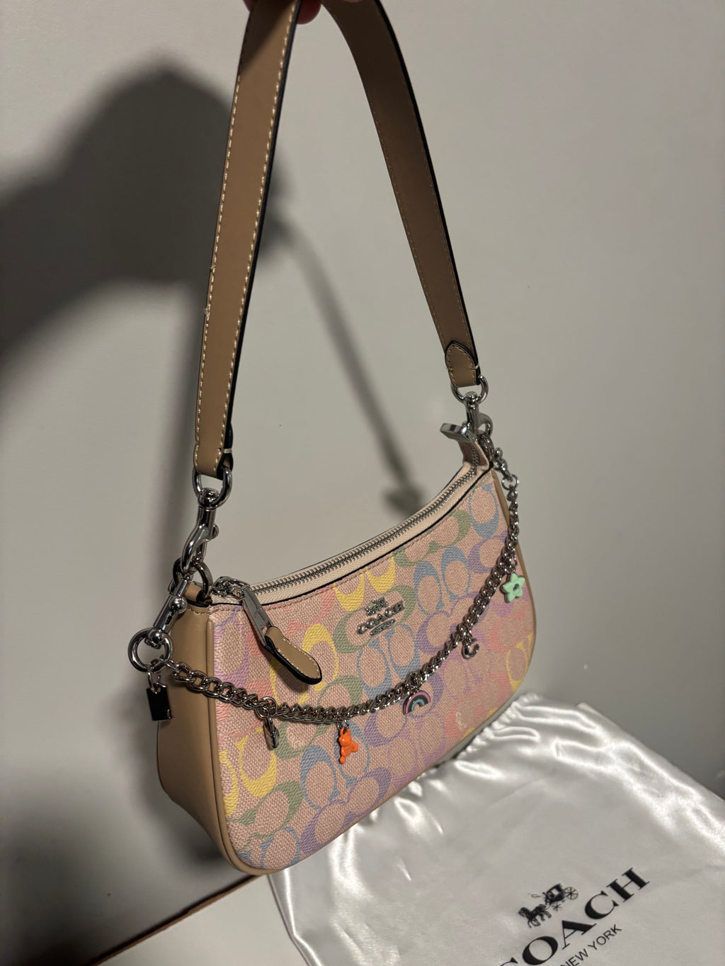 Rainbow Teri Shoulder Bag with charm