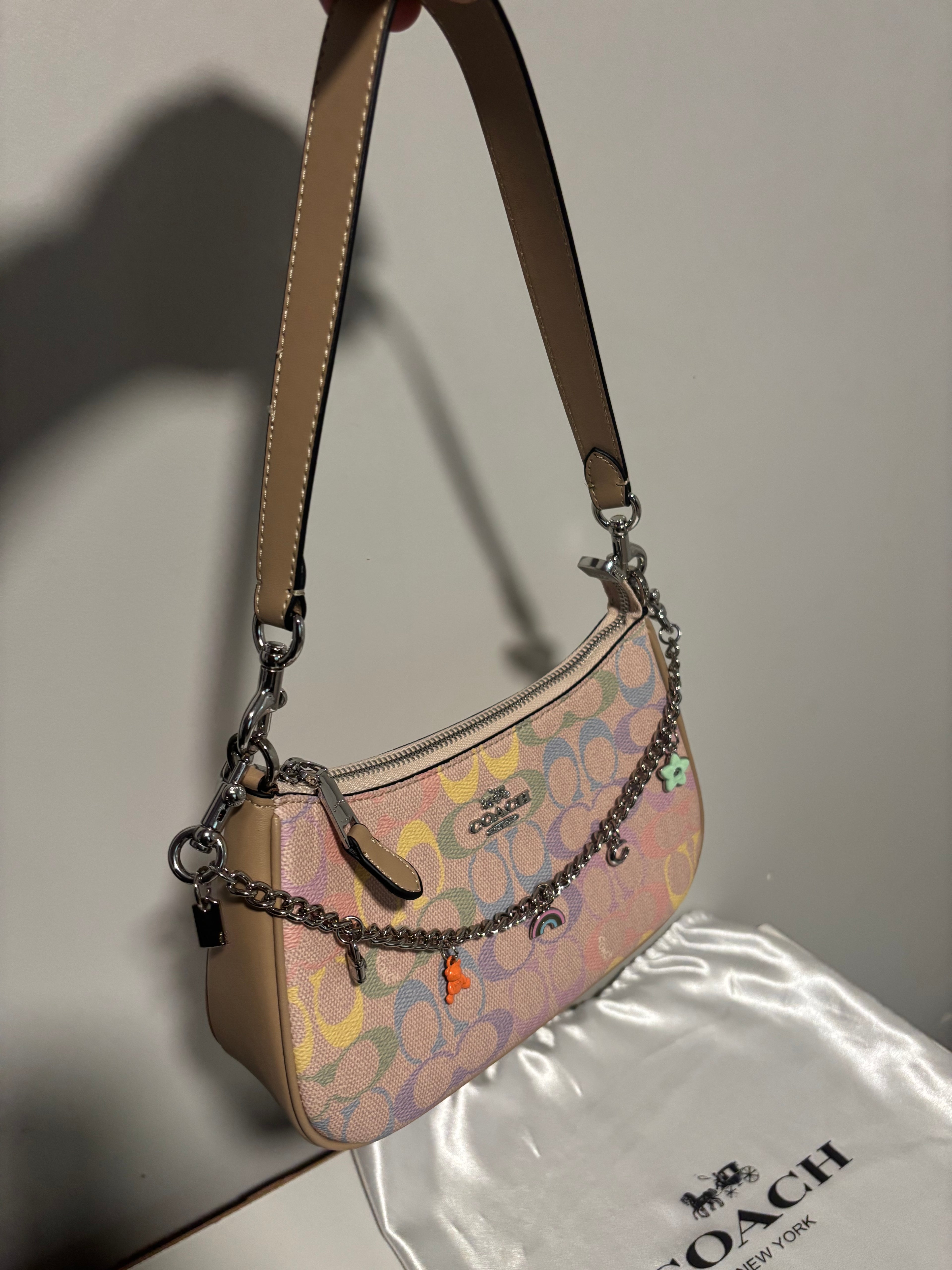 Rainbow Teri Shoulder Bag with charm